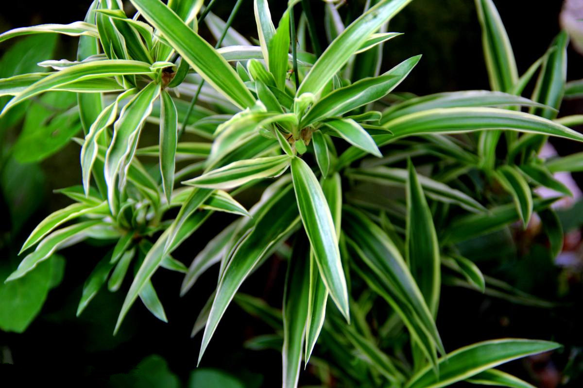 室內沒有味道就可以放心入住了嗎？