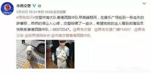 有問題找警察，薩摩耶派出所報(bào)案，不注意這件事，對(duì)狗狗致命，警察蜀黍卻幫不上忙！