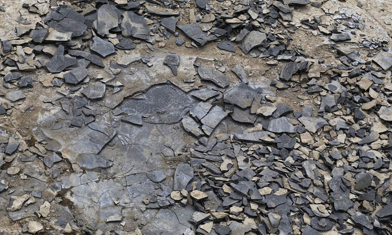 現(xiàn)代人生活節(jié)奏過(guò)快，卻導(dǎo)致環(huán)境空氣污染越來(lái)越嚴(yán)重