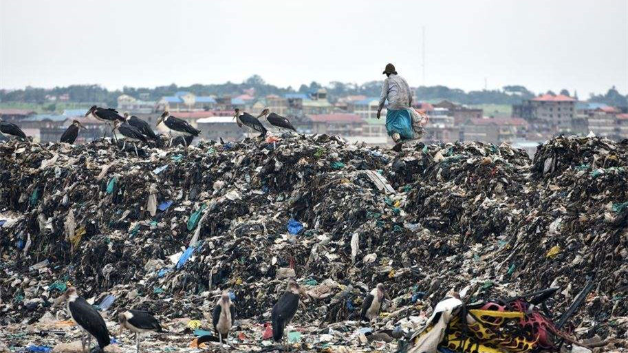 健康四月，環保政策搶先看！