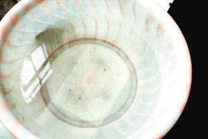 疫苗事件背后：您是否想過除甲醛產品也存在無效情況？