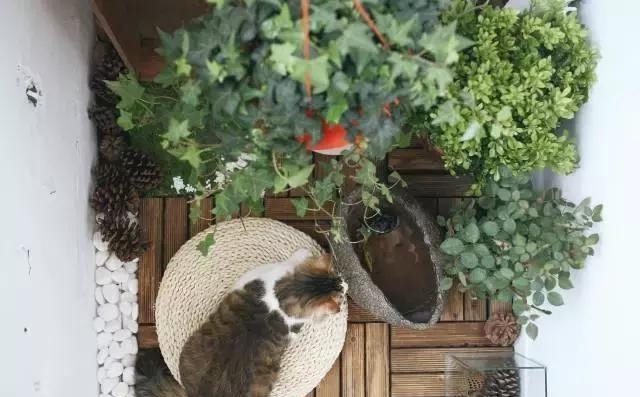 21天3000元重裝出租屋 除甲醛莫忘記！