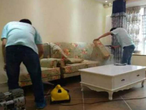 除甲醛公司需要具備哪些實力？