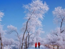 如何解決冬季室內和車內環境污染問題的問題呢？