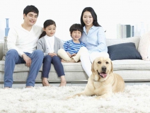 家里甲醛超標怎么辦,受污染影響的人群有哪些