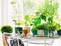 90%的家庭都甲醛超標？所以要盡快找一家專業的除甲醛公司