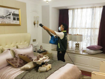 除甲醛公司哪家好,創(chuàng)綠家更專業(yè)